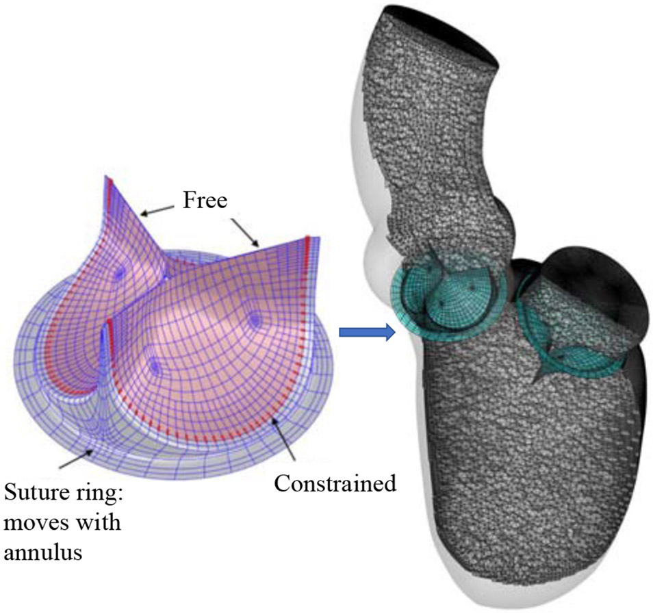 Figure 2: