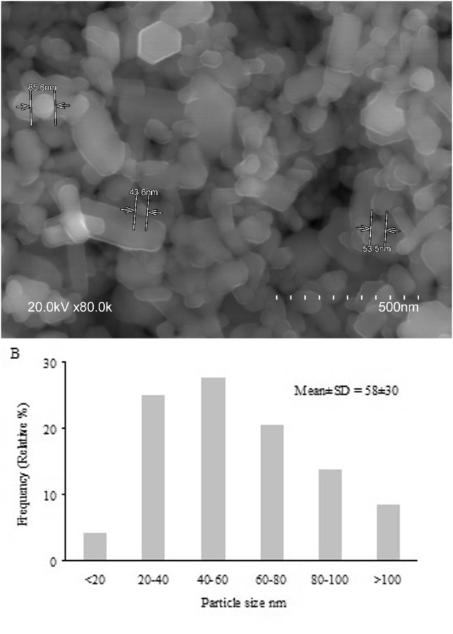 Figure 1