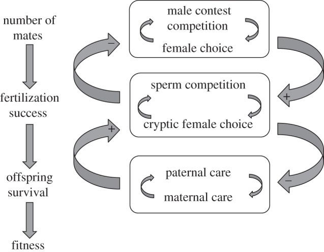 Figure 5.