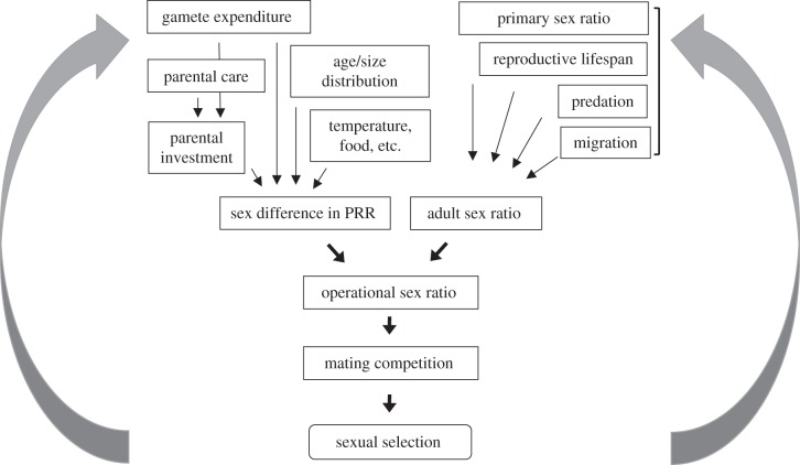 Figure 1.