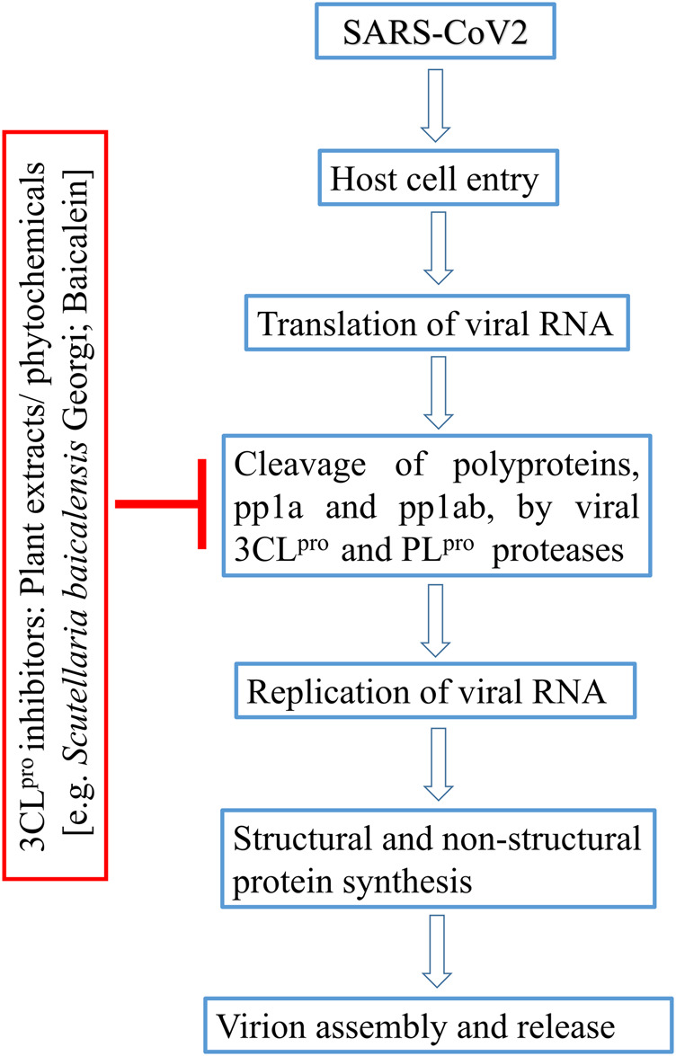 FIGURE 1