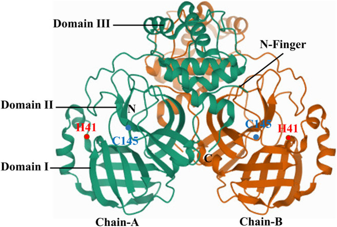 FIGURE 4