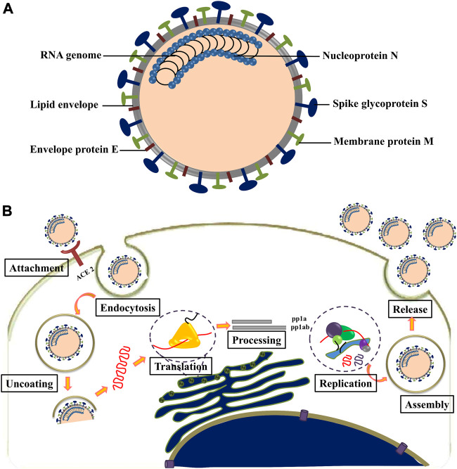 FIGURE 3