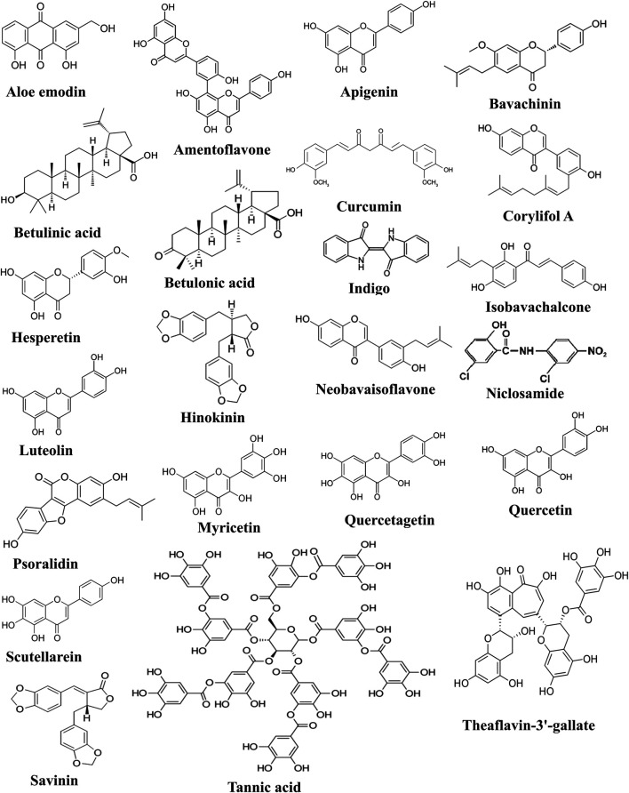 FIGURE 5