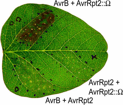 Figure 6.