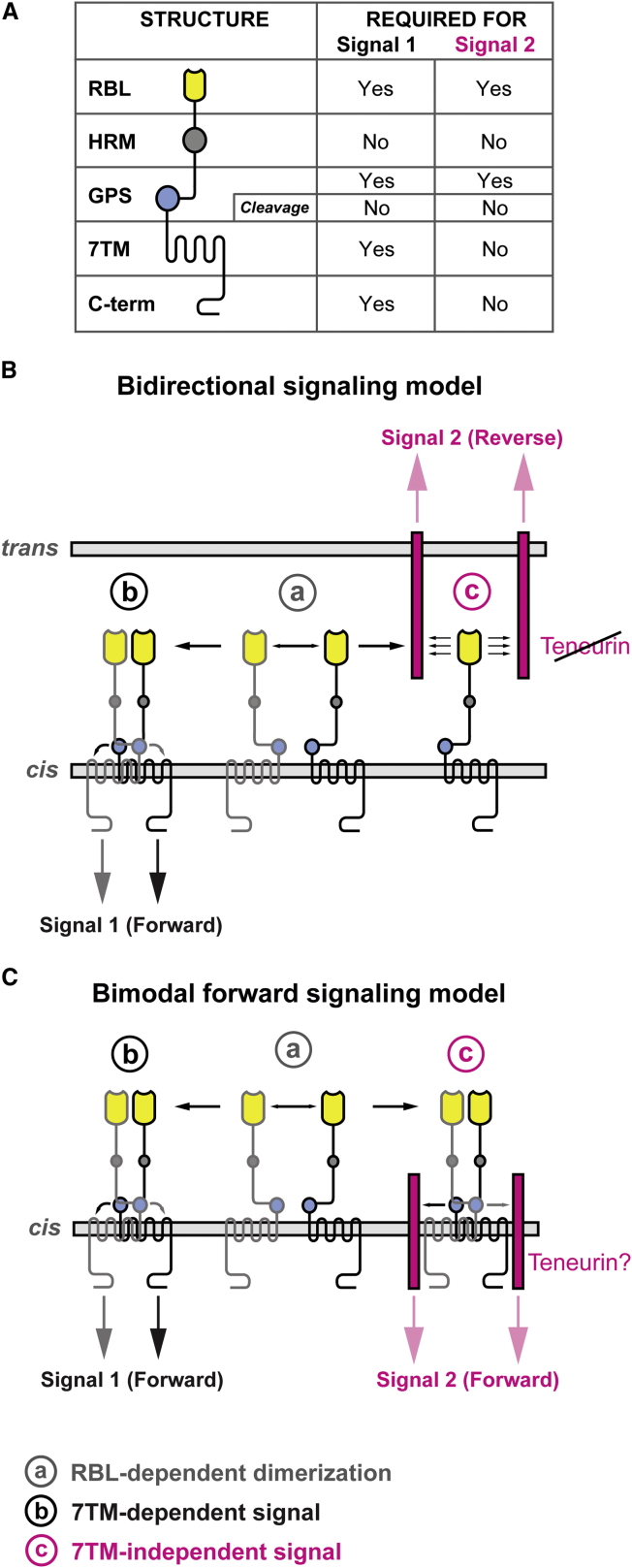 Figure 7