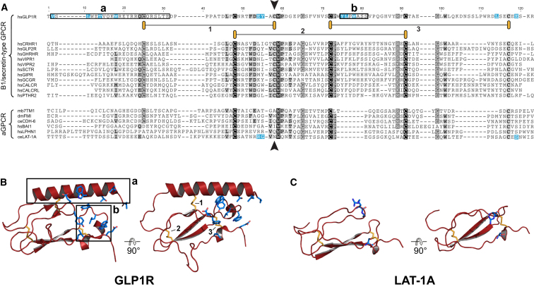 Figure 3