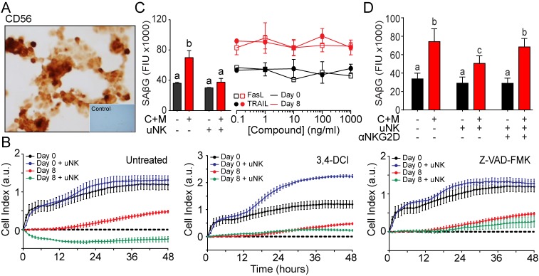 Figure 5—figure supplement 1.