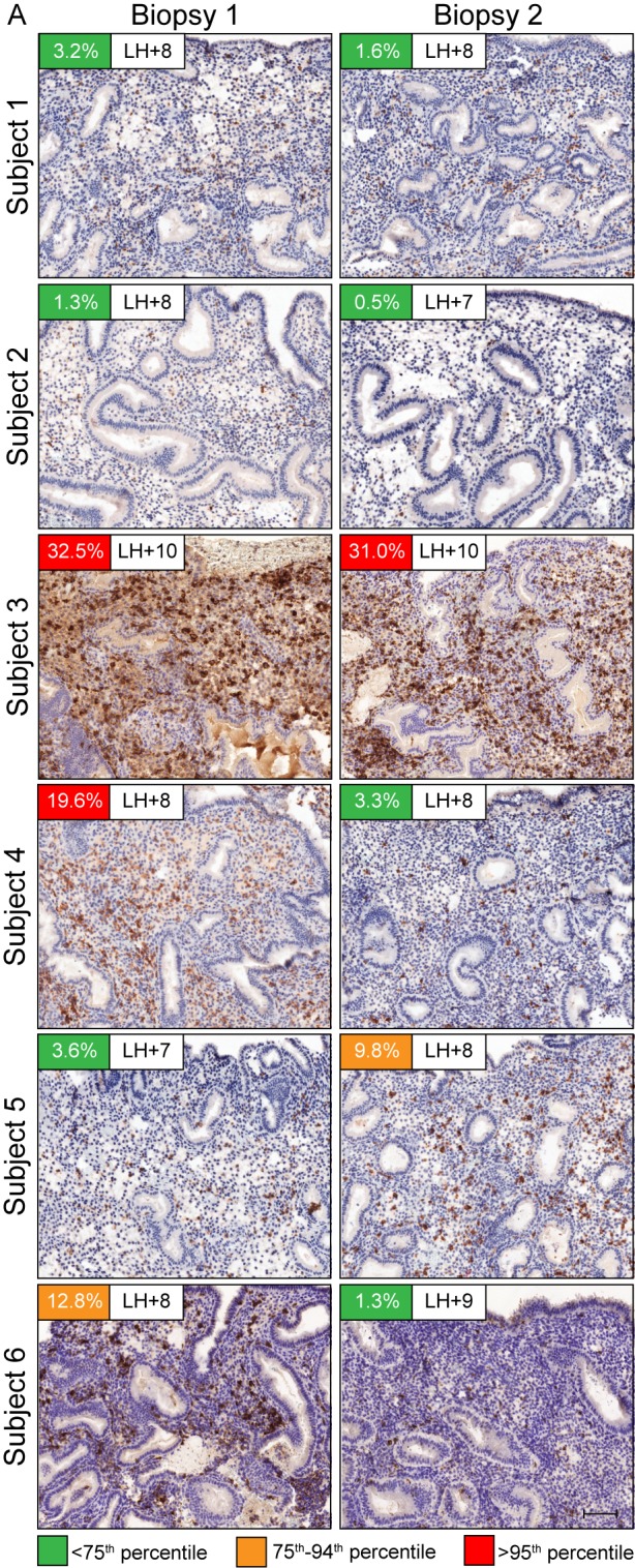 Figure 6—figure supplement 1.