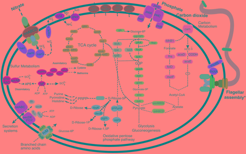 FIGURE 2