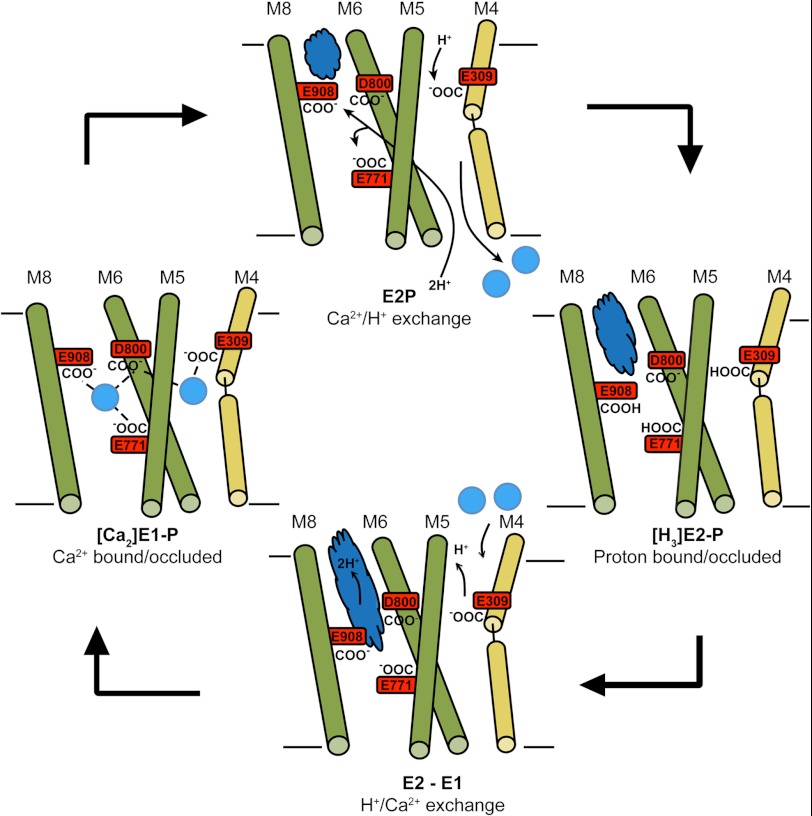 FIGURE 3.