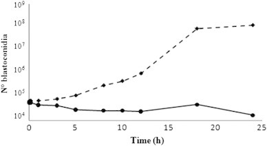 Fig. 6