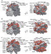 FIG 3