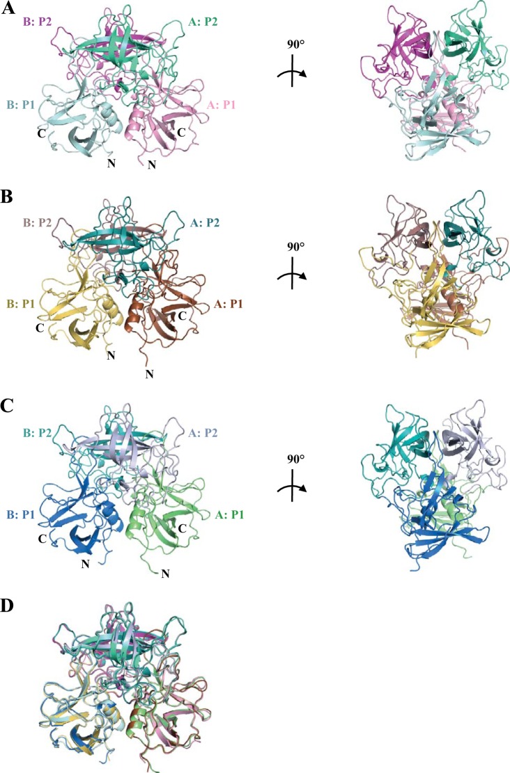 FIG 2