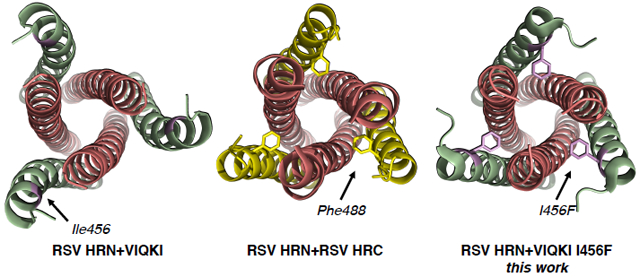 graphic file with name nihms-1552922-f0001.jpg