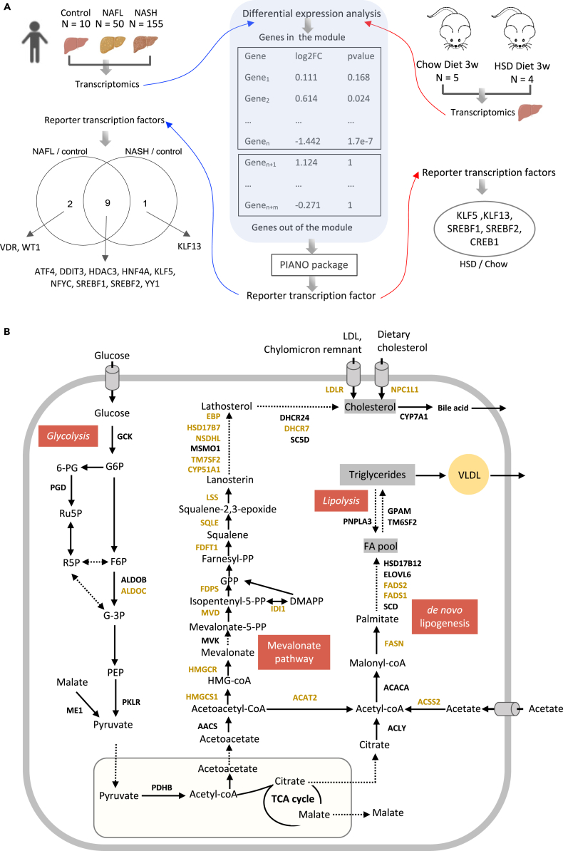 Figure 6