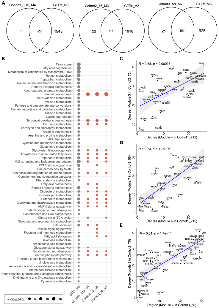 Figure 4