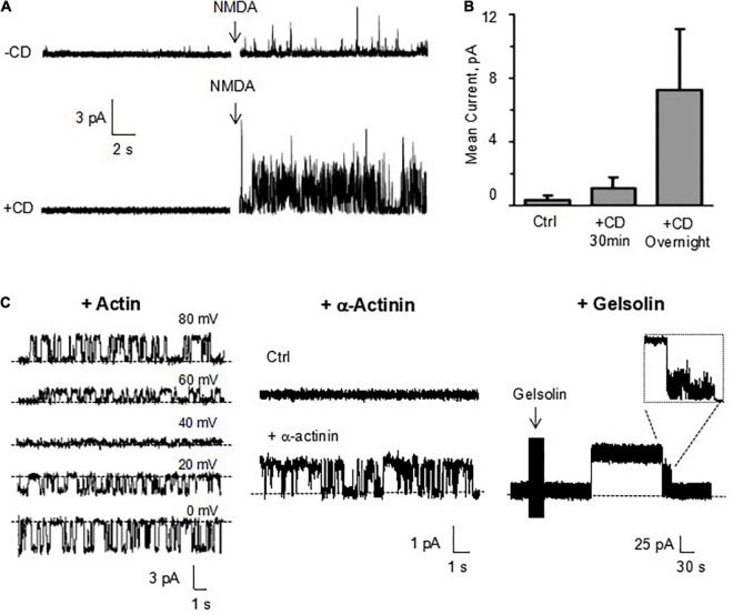 FIGURE 10