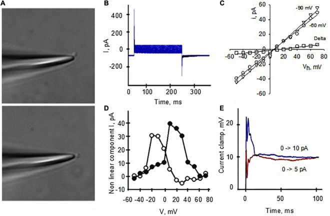 FIGURE 6