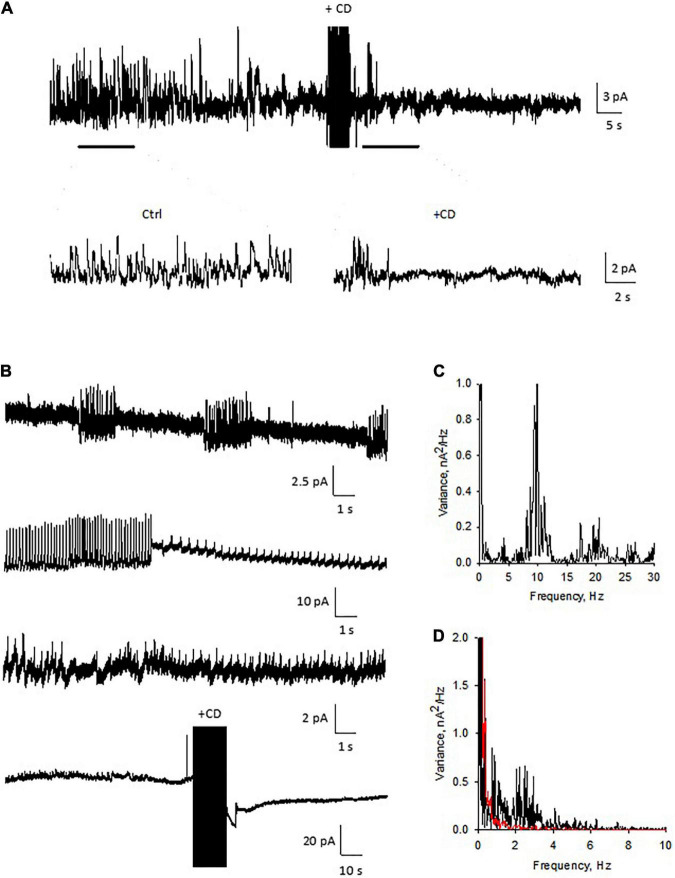 FIGURE 11