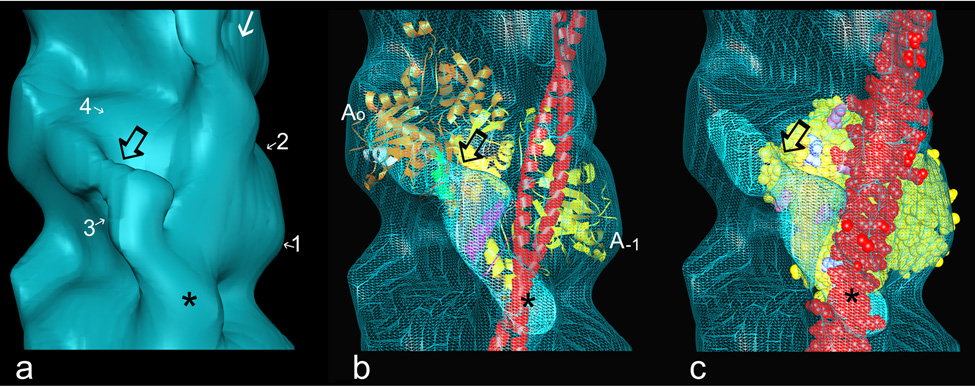 Fig. 3