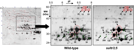 Figure 6.