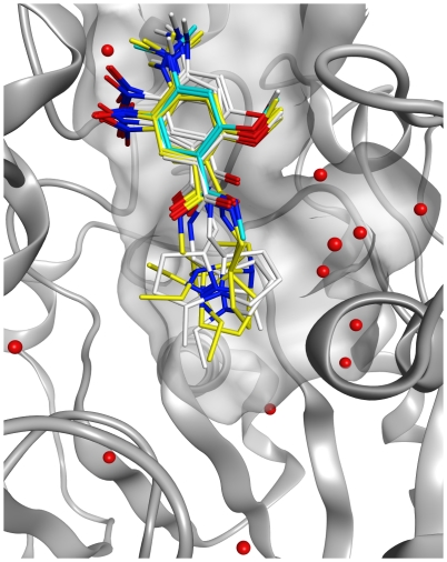 Figure 7