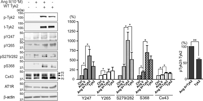 FIGURE 11.