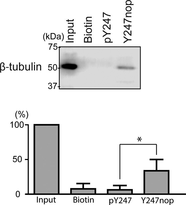 FIGURE 12.