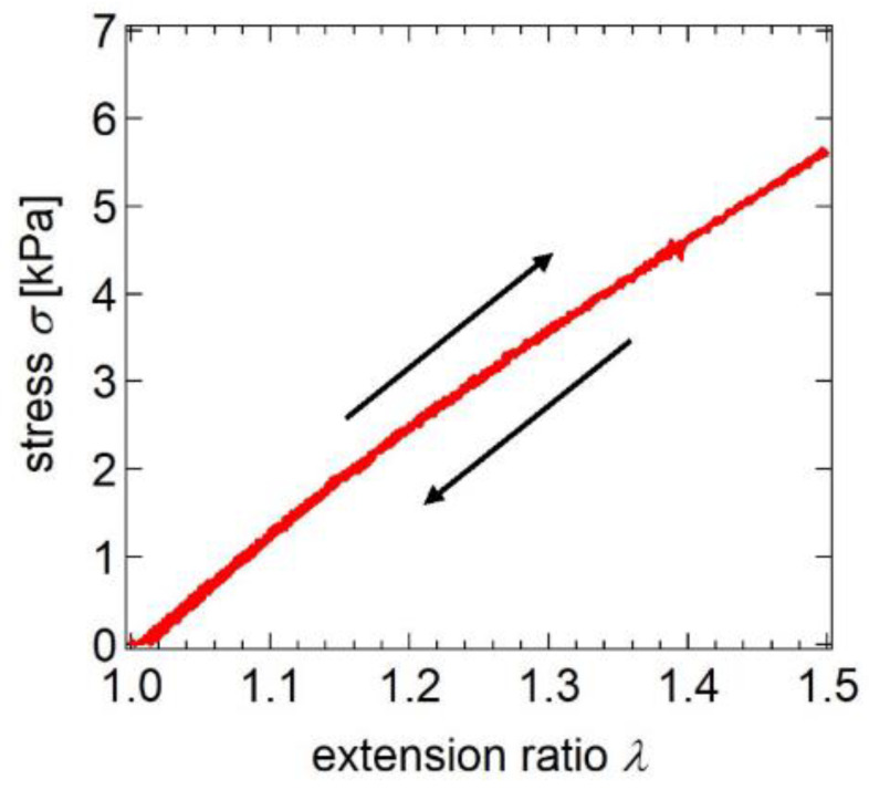 Figure 20