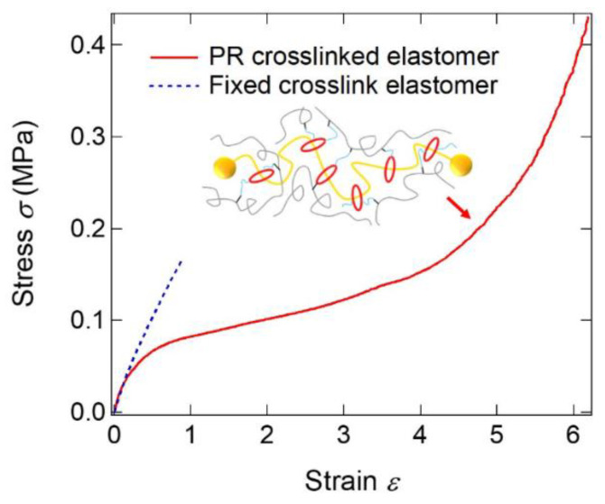 Figure 22