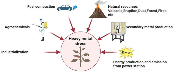 Figure 1