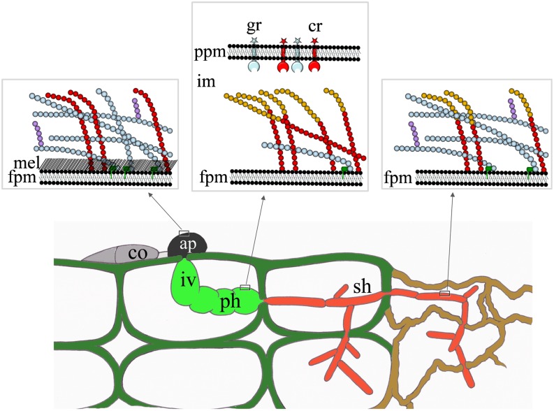 Figure 10.