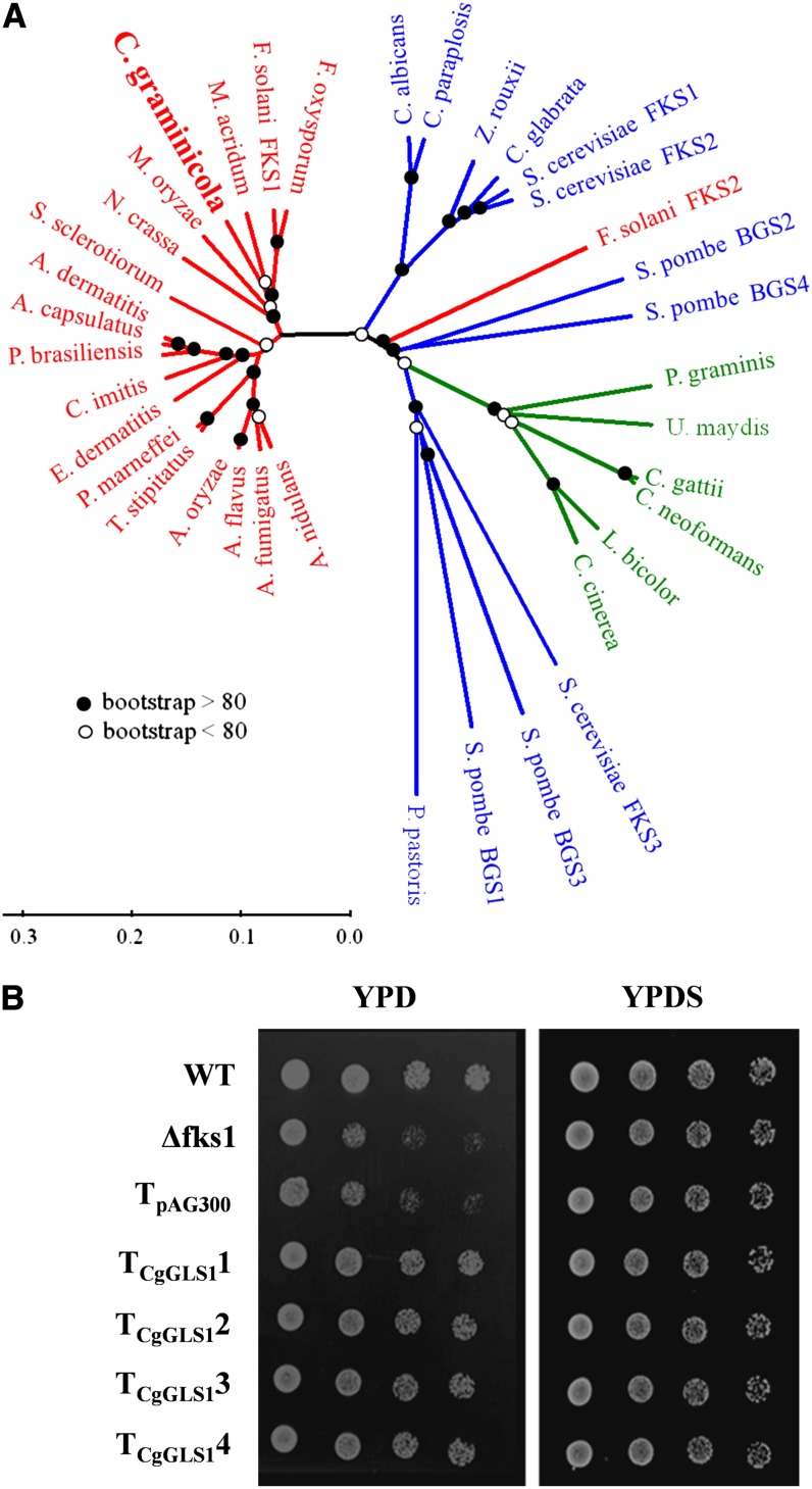 Figure 1.