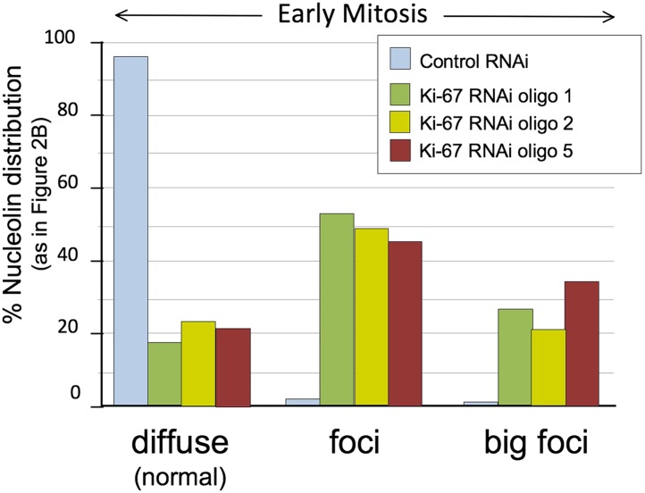 Figure 2—figure supplement 2.