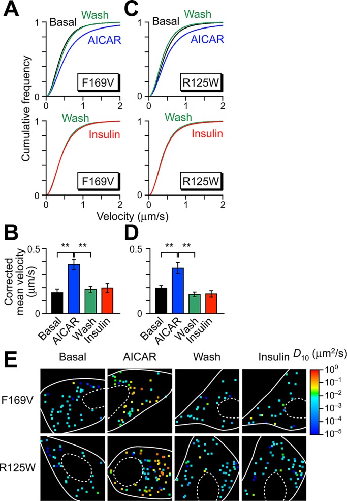 FIGURE 6: