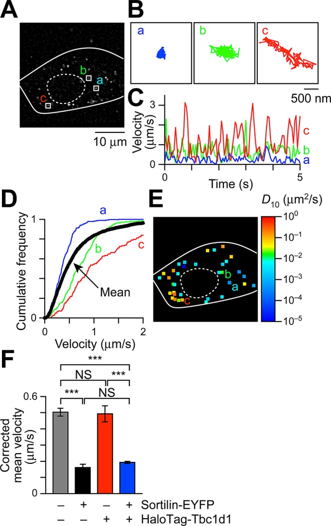 FIGURE 1: