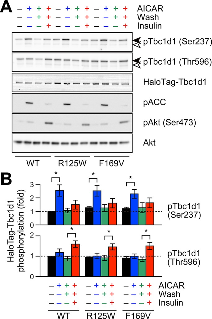 FIGURE 7: