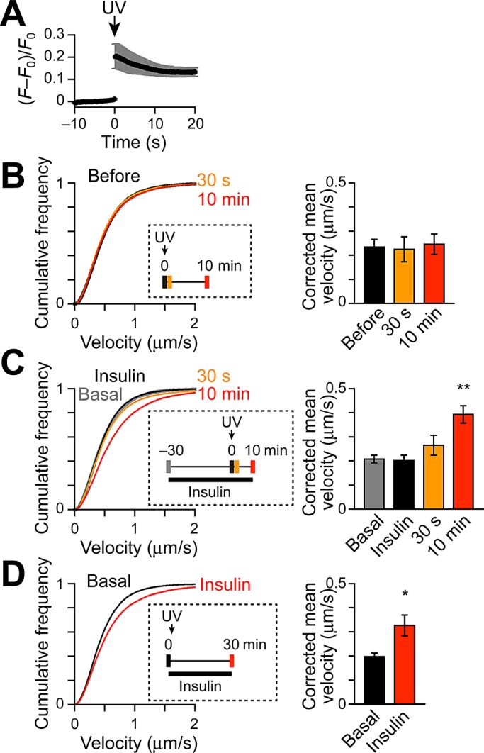 FIGURE 5: