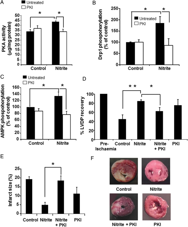 Figure 6