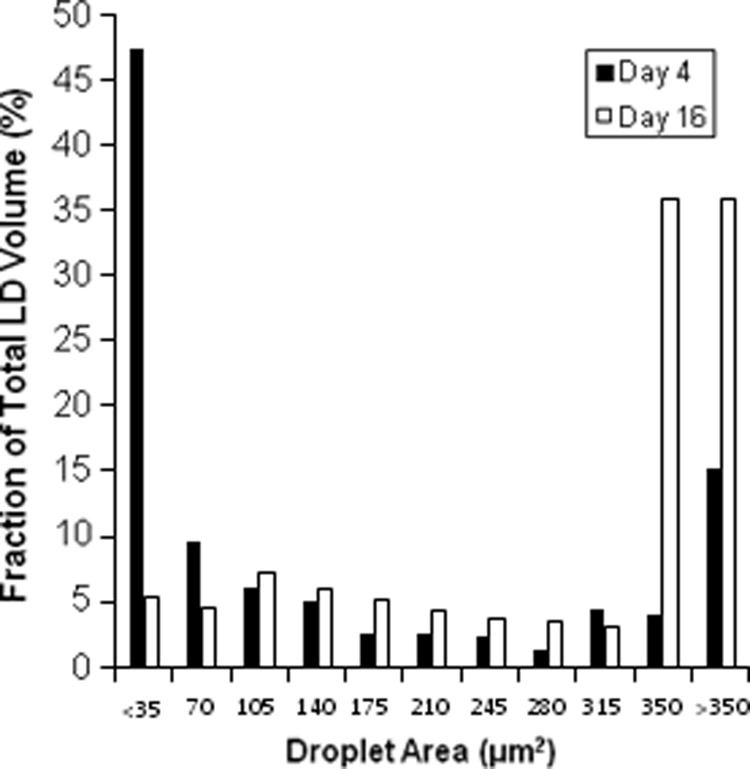 FIG. 6.