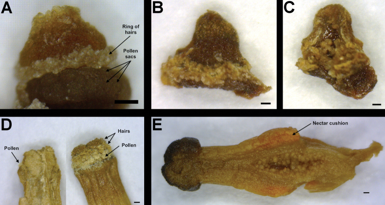 Figure 5.