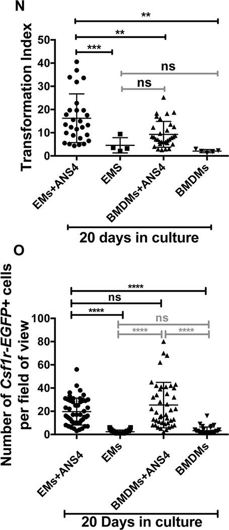 Figure 10.