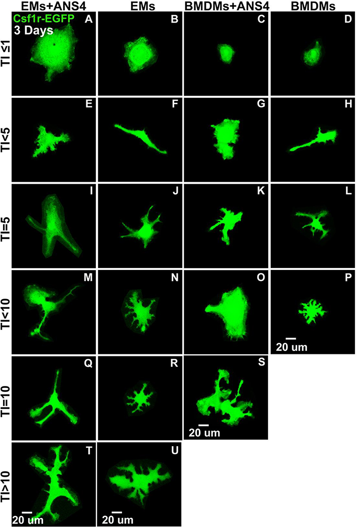 Figure 9.