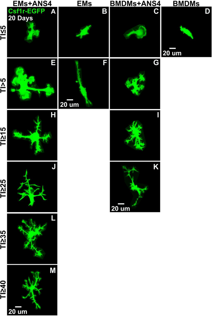 Figure 10.