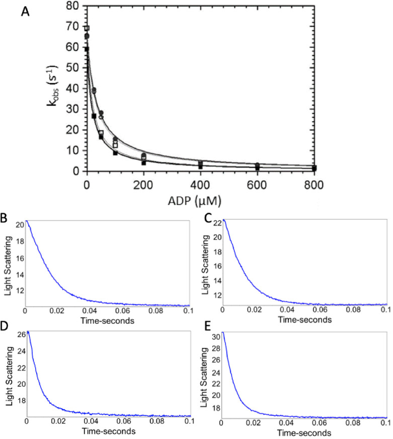 Figure 1—figure supplement 4.