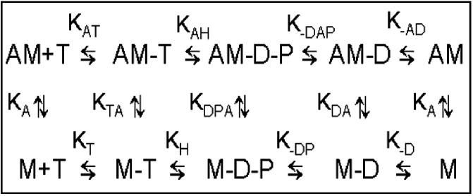 Figure 1—figure supplement 8.