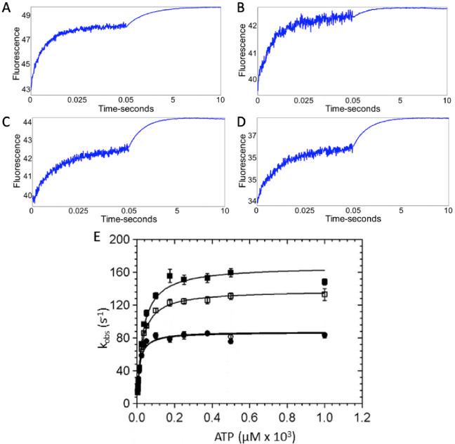 Figure 1—figure supplement 5.