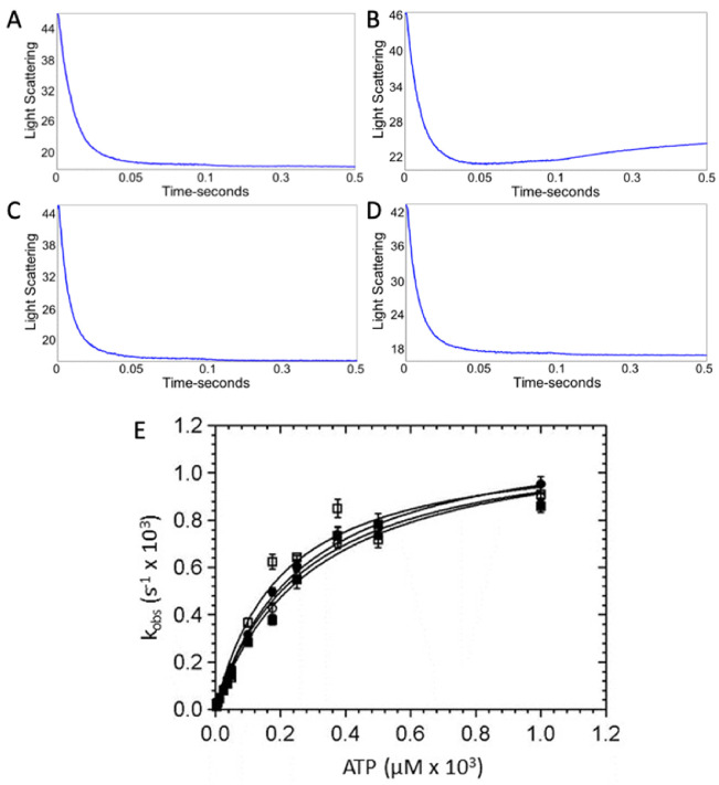 Figure 1—figure supplement 6.