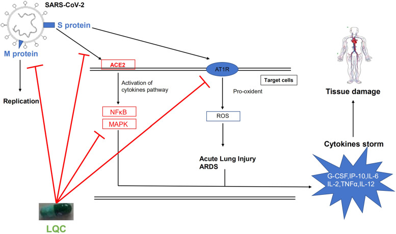 Fig. 2